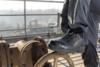 Preview: The image shows a foot in a black safety shoe standing on a metallic, round device. In the background, an industrial environment with pipes can be seen.