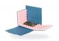 Preview: The image shows an electronic circuit board encased in a protective box made of blue cardboard and pink foam. The structure serves to protect the circuit board.