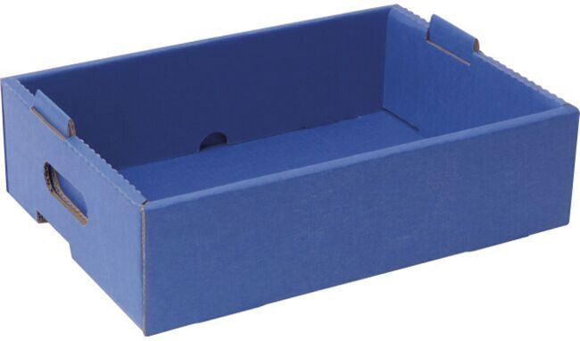 The image shows a rectangular, flat box made of sturdy cardboard, in a bold blue. It has short side walls and two lateral handles for carrying.