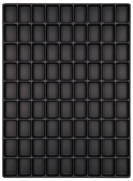 The image shows a black plastic plate with 100 rectangular indentations, arranged in 10 rows and 10 columns. The indentations are uniform and have clear contours.